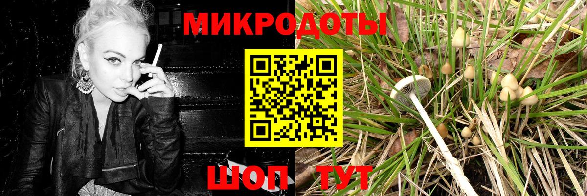 Псилоцибиновые грибы прущие грибы  Вход с VPN  Галлюциногенные грибы прущие грибы  Ливны 