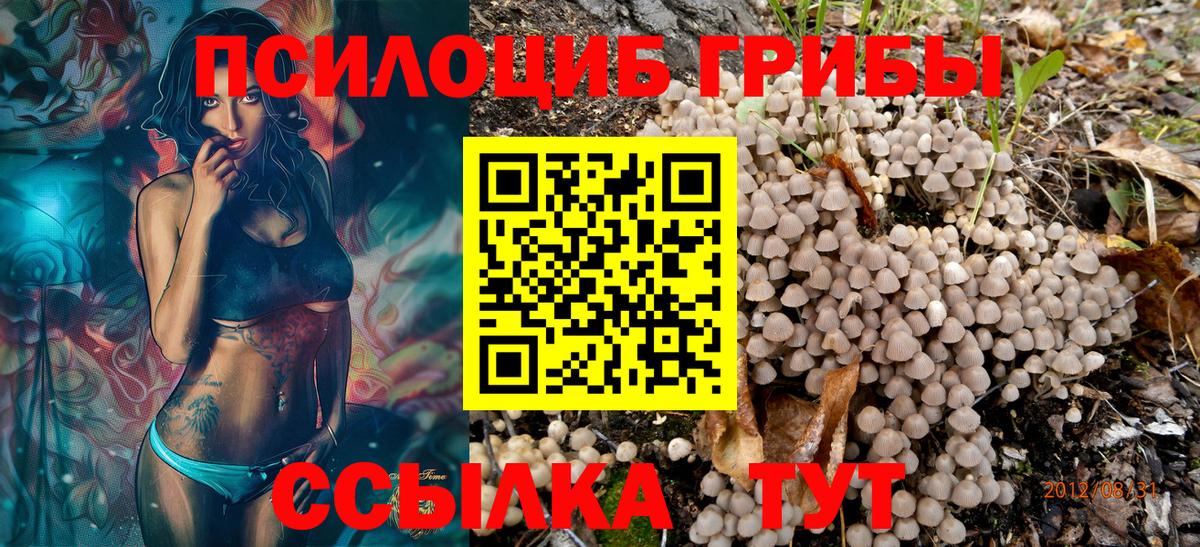 Галлюциногенные грибы мицелий Ливны